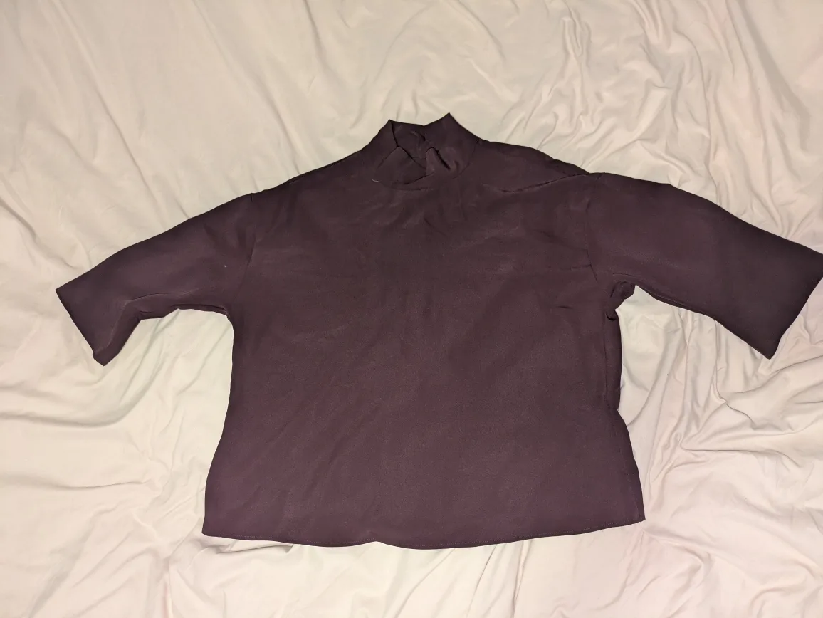 Brown Blouse thumbnail