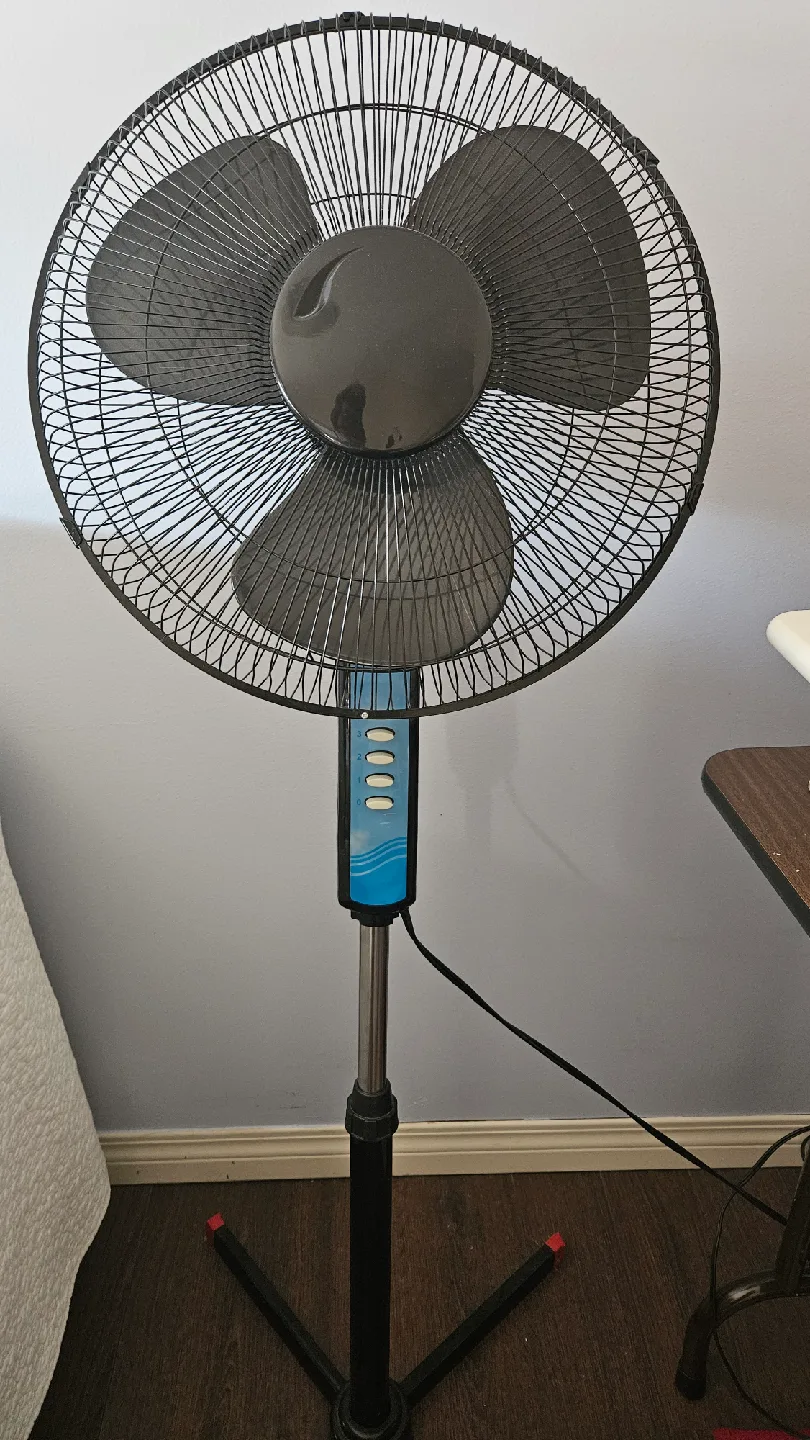 Home Decor Items - Lamp, Fan, Pillow, Table image indicator(2)