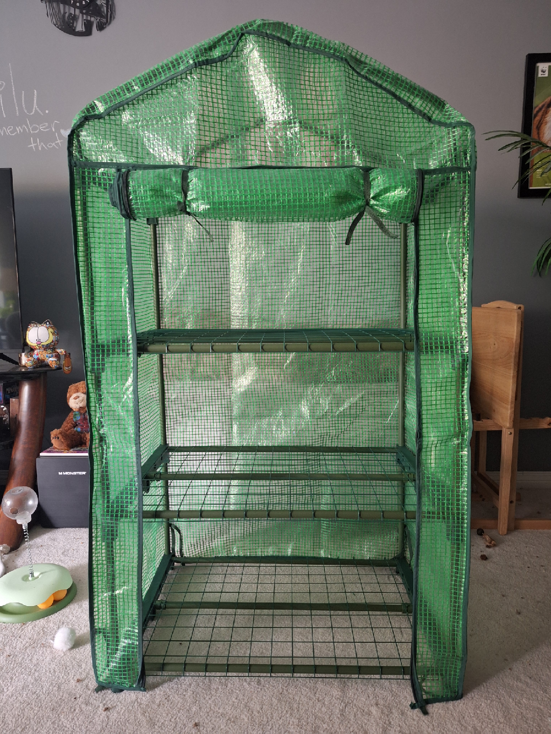 NEW Mini 3-Tier Greenhouse 🪴 🌱 🌿