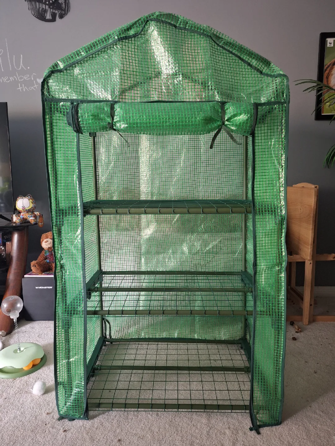NEW Mini 3-Tier Greenhouse 🪴 🌱 🌿 thumbnail