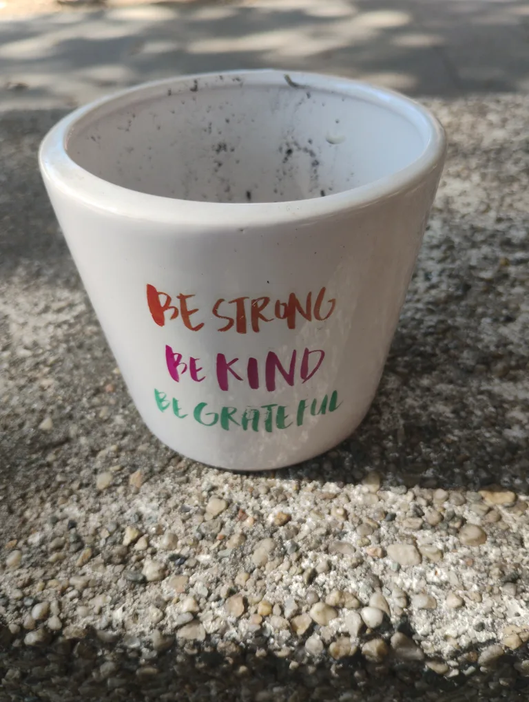 Emotional wellness garden image indicator(2)