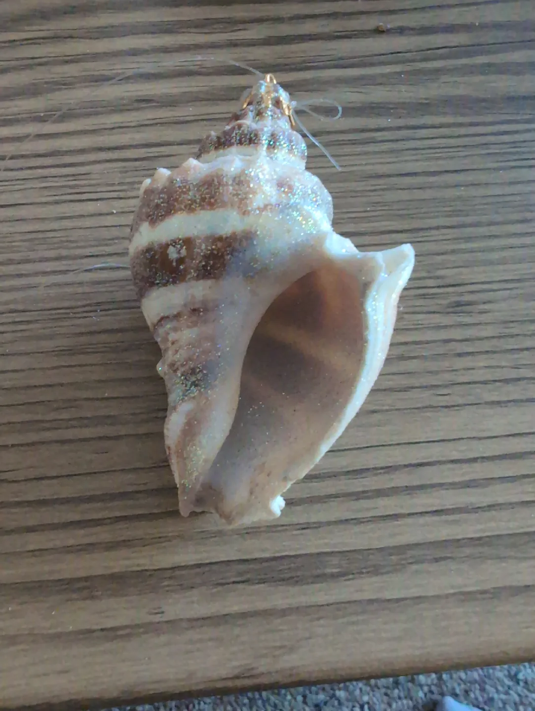Seashell Christmas Ornament image indicator(2)