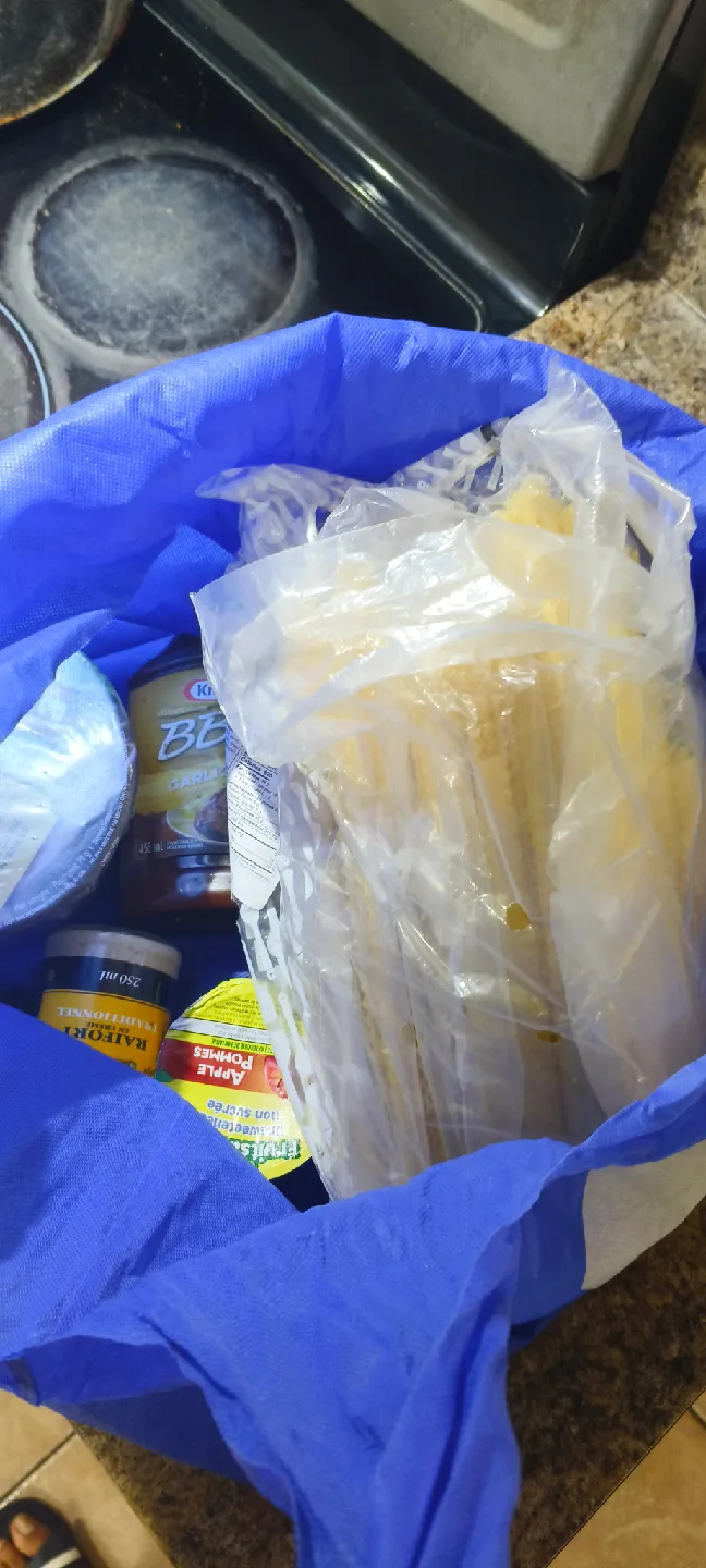 Grocery Items in Blue Bag FreeCycle Expired Food