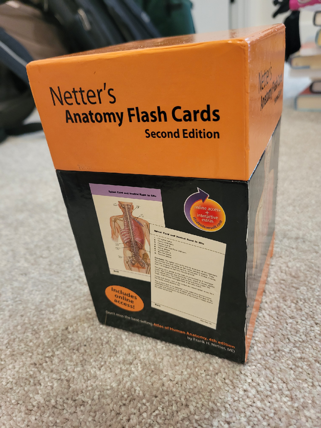 Netter's Anatomy Flash Cards, Second Edition