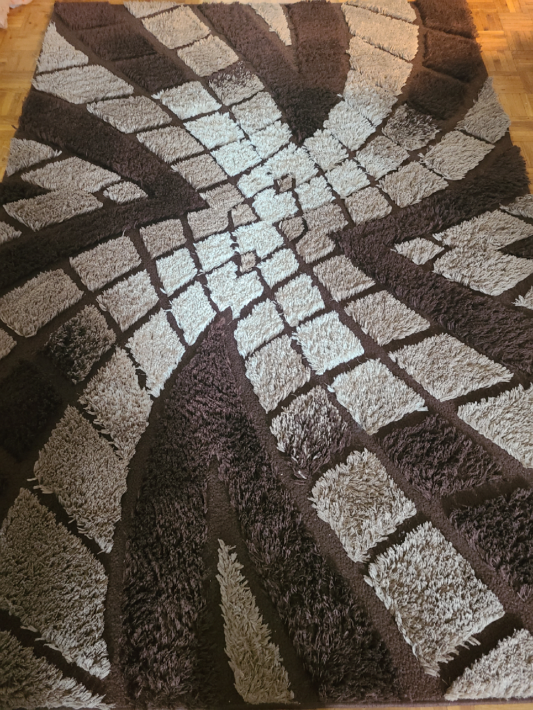 Brown Shag Rug - photo 2