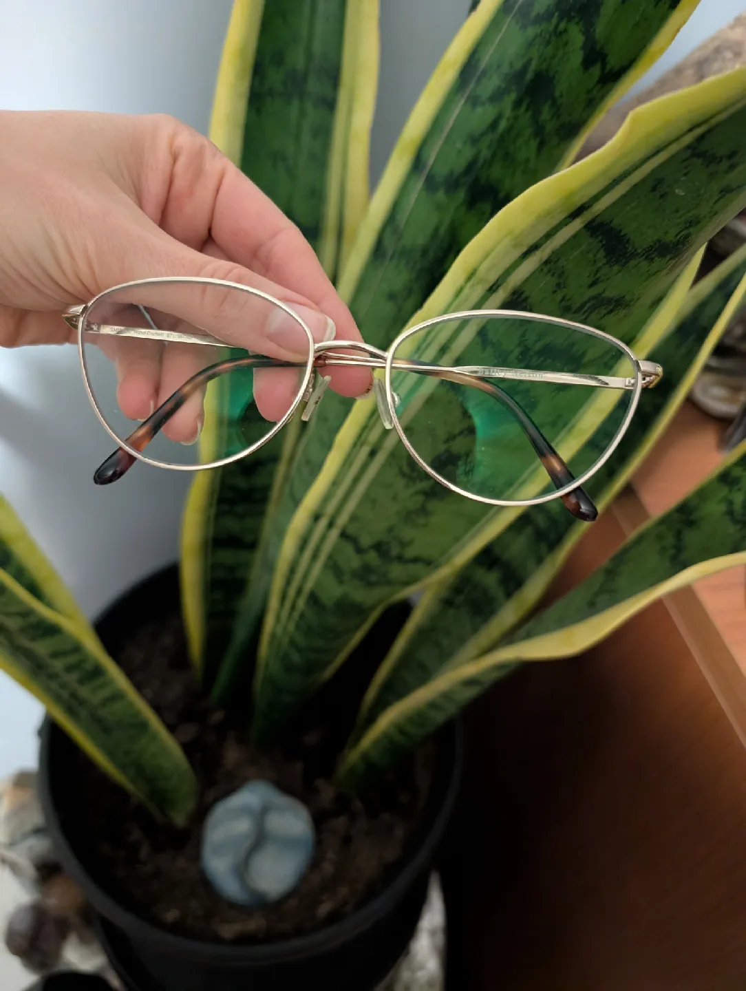 Bailey Nelson Gold Frames Eye Glasses thumbnail