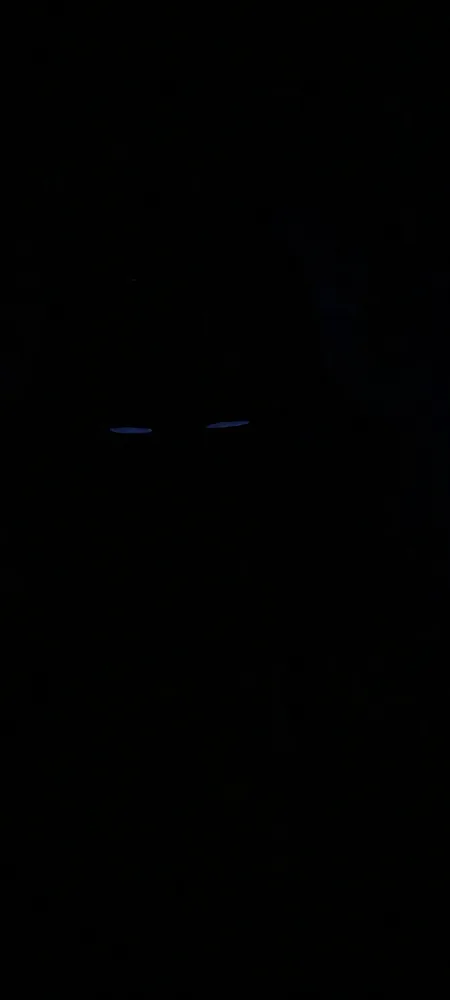 Vintage African Tribal Mask image indicator(3)