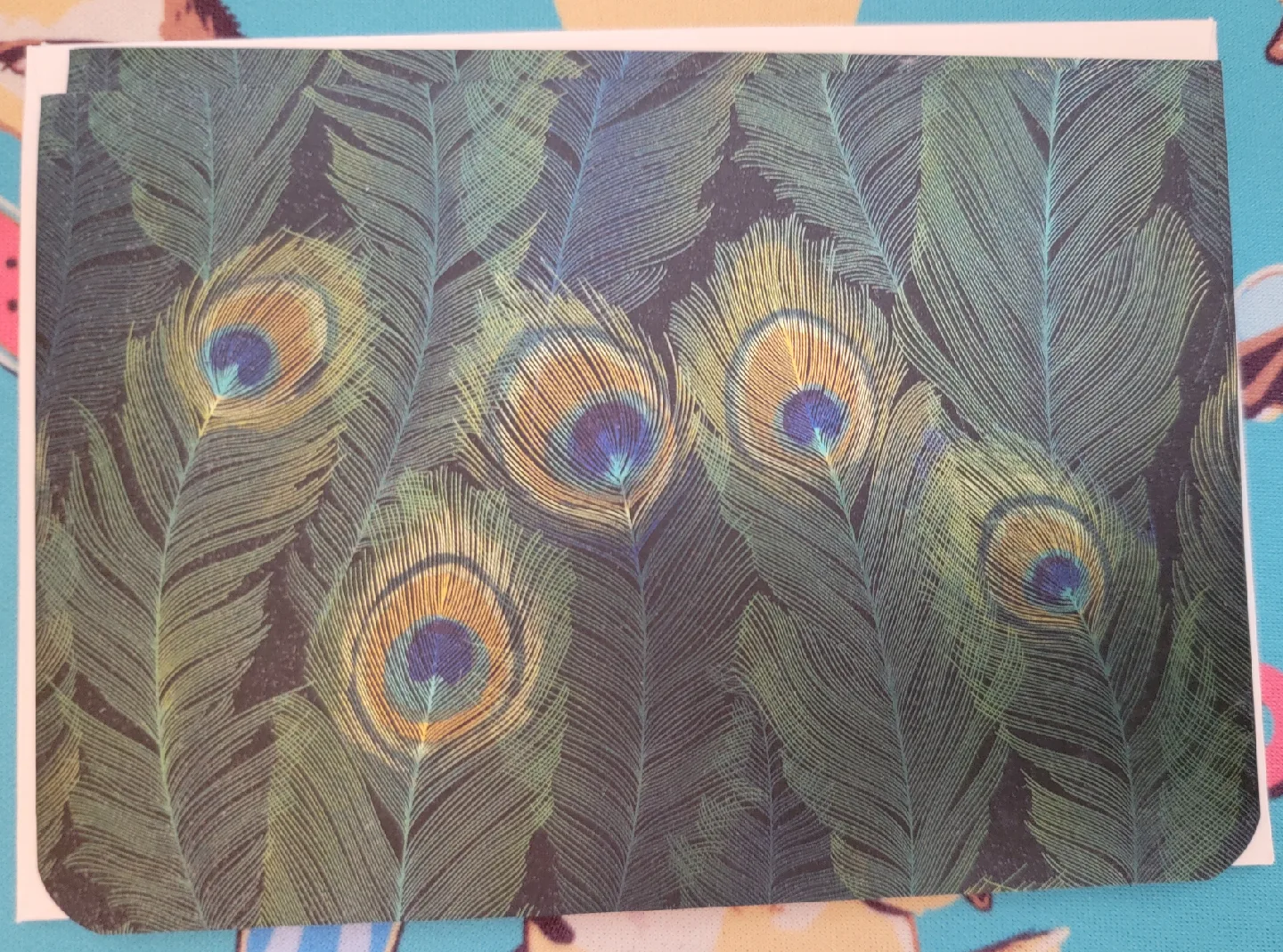 🥕 Peter Pauper Press Greeting Cards thumbnail
