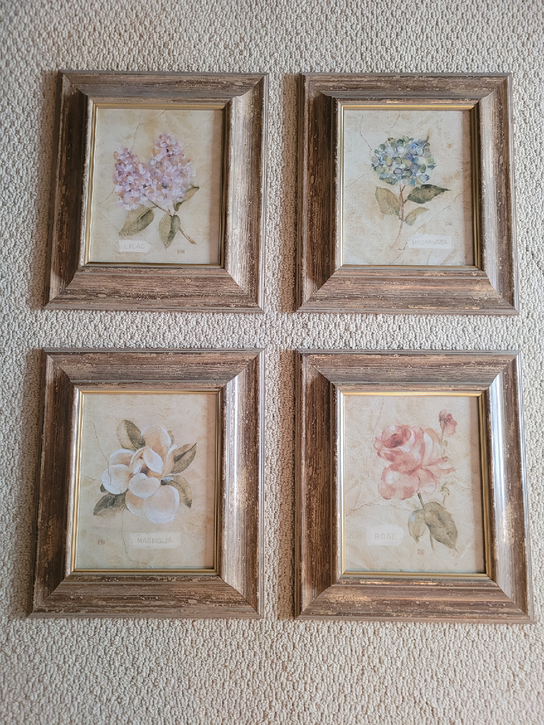 Set of 4 Framed Floral Prints - Magnolia, Lilac, Rose, Hydrangea - photo 5