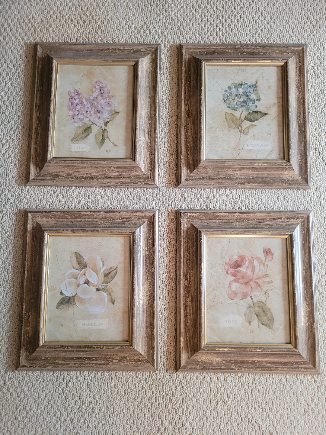 Set of 4 Framed Floral Prints - Magnolia, Lilac, Rose, Hydrangea image indicator(5)