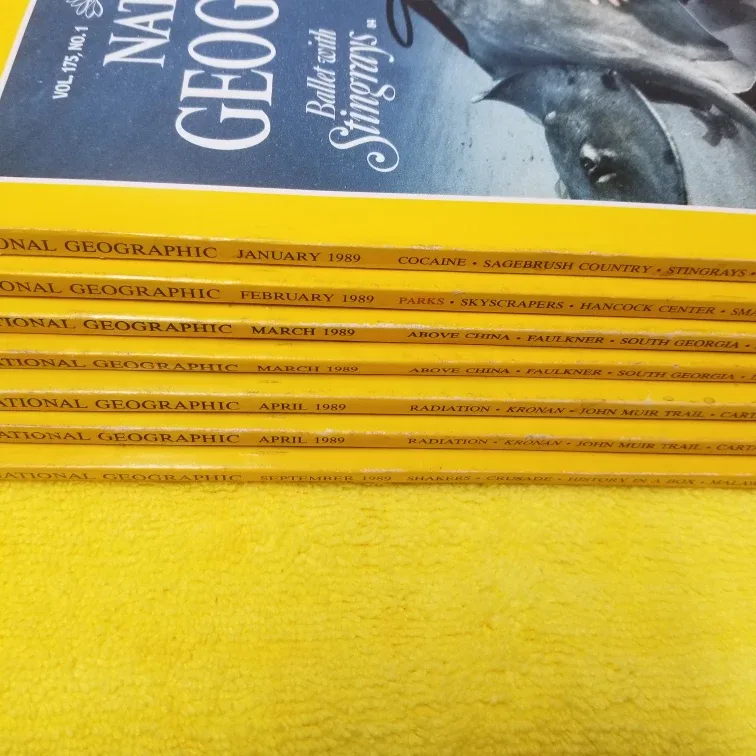National Geographic Magazines - 1989 thumbnail