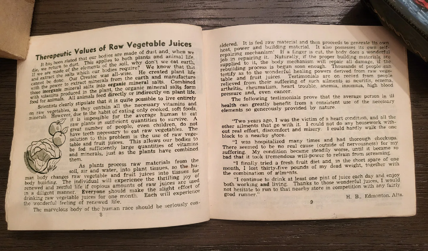 Vintage "Vital Food" Health Booklet image indicator(3)
