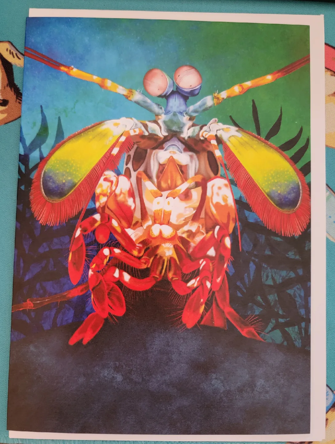🥕 The Glow Oracle Mantis Shrimp Card thumbnail