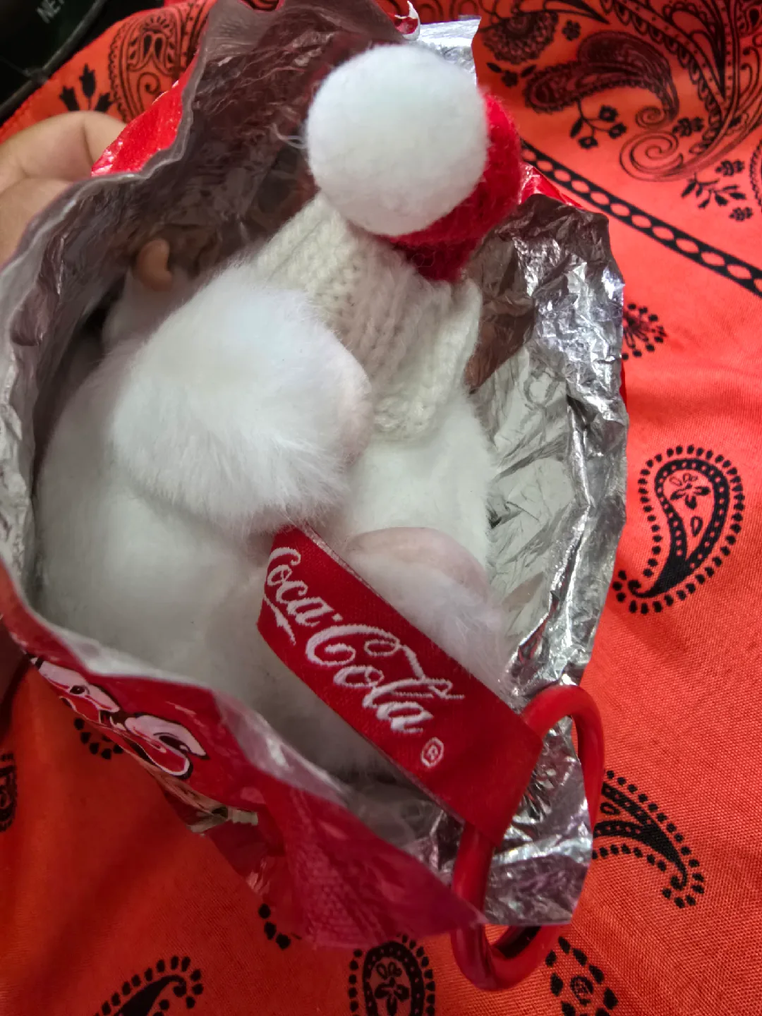 Pop Mart La Bubu Coca-Cola Series Plush image indicator(2)