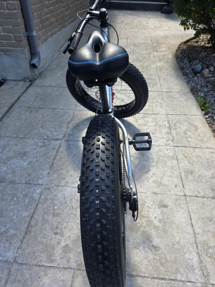 Fat Tire Bike - photo 2
