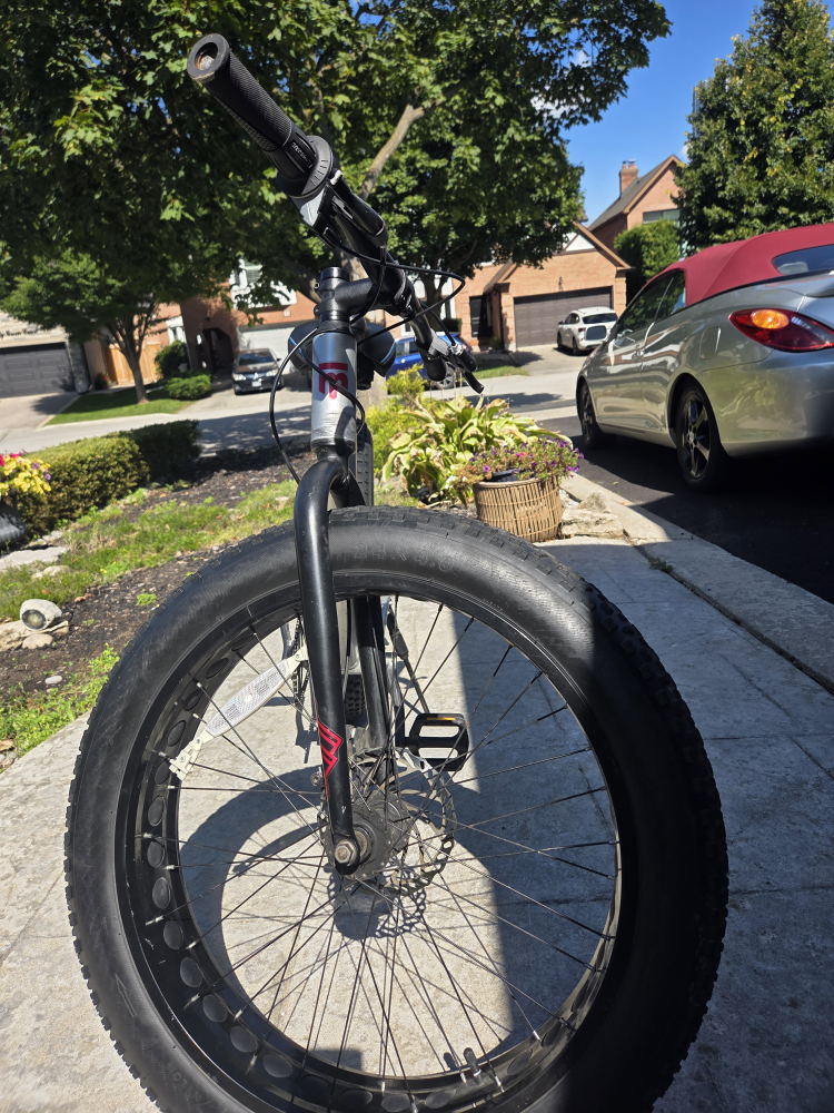 Fat Tire Bike - photo 3