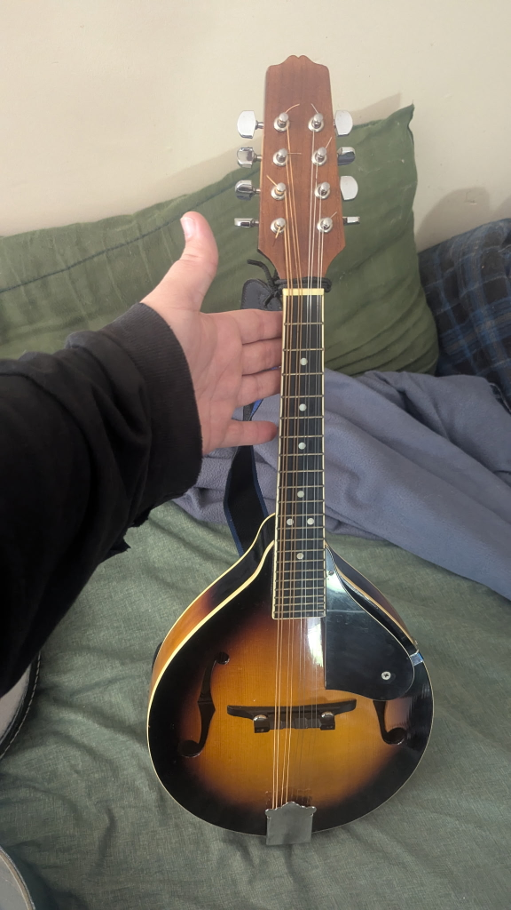 Beginner Mandolin