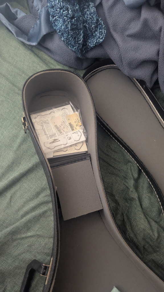 Beginner Mandolin - photo 4