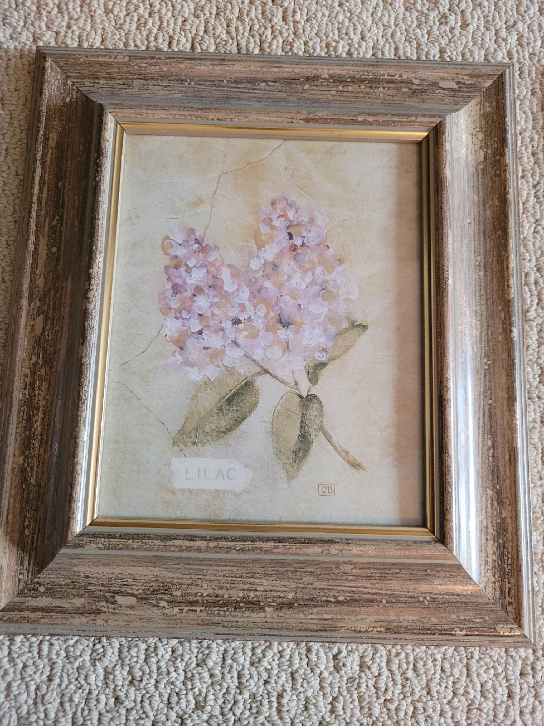 Set of 4 Framed Floral Prints - Magnolia, Lilac, Rose, Hydrangea