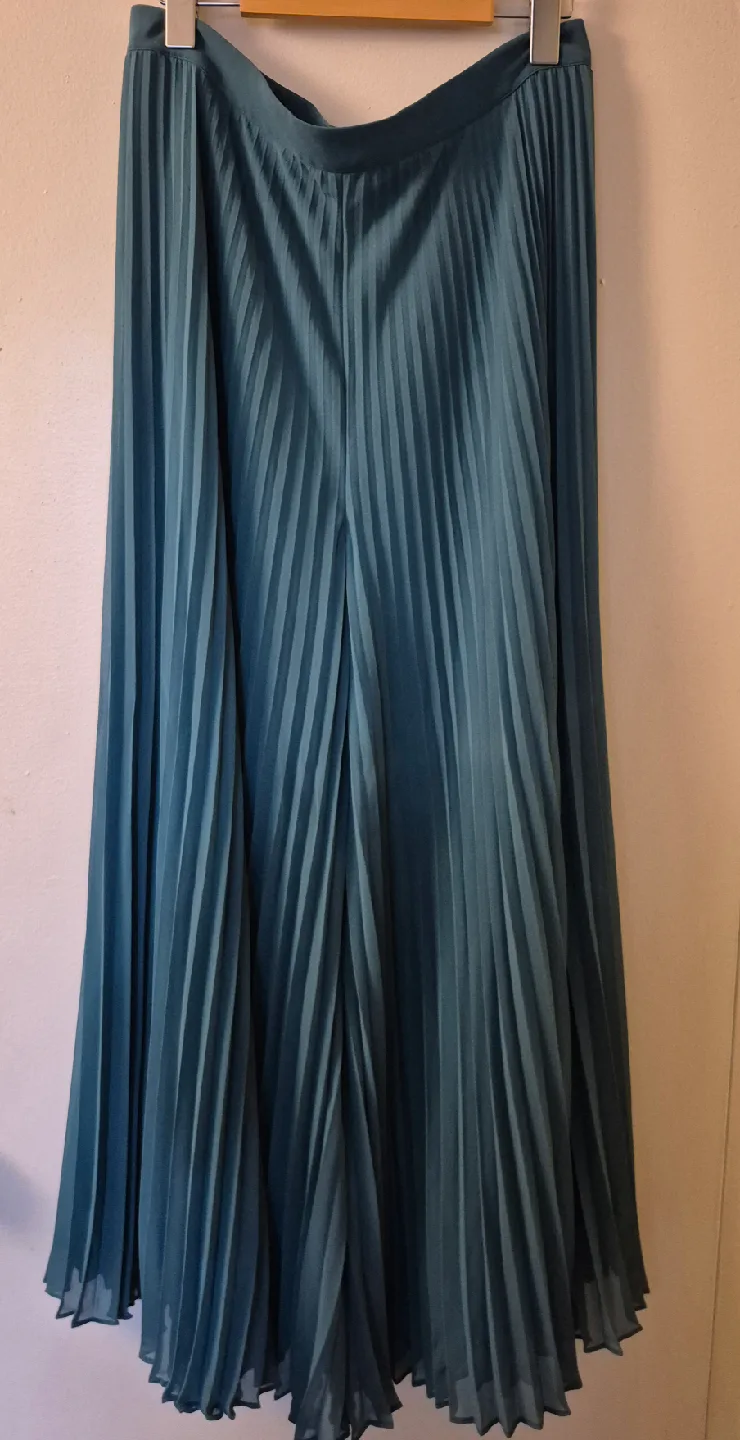 Pleated Wide Leg Pants thumbnail