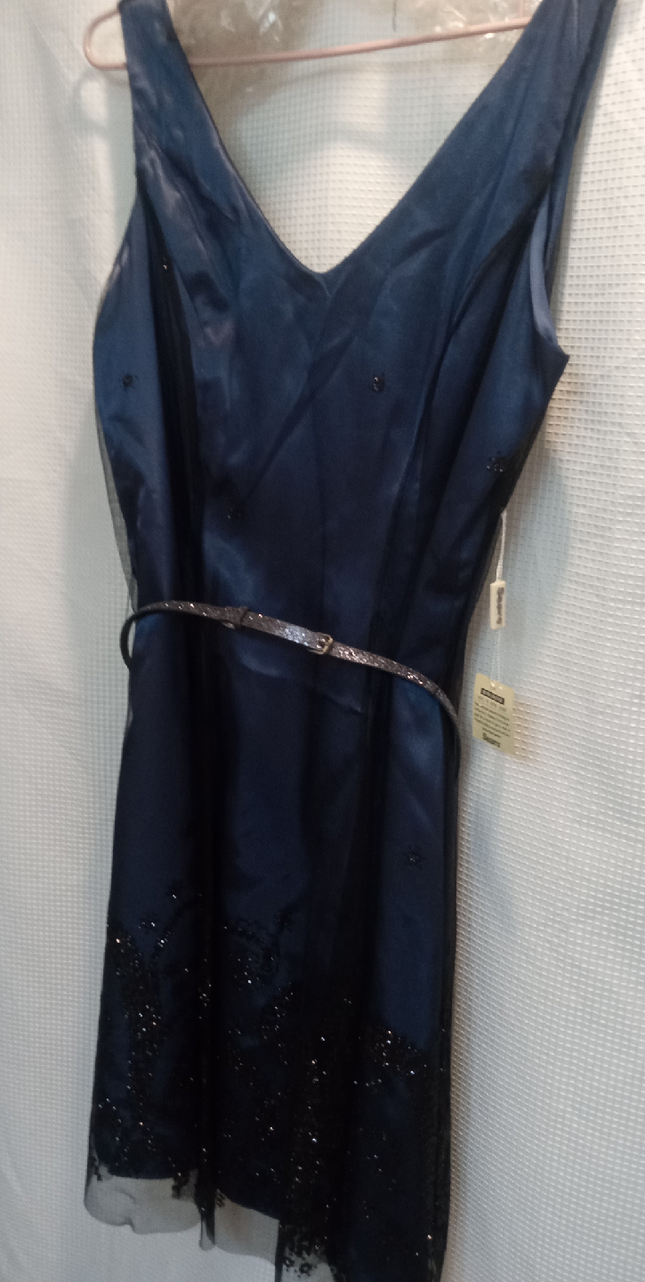 Sears Navy Blue Dress 16