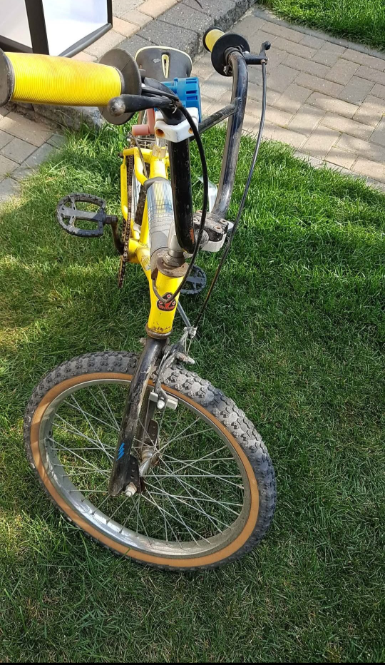 Street Boss Bike - photo 3