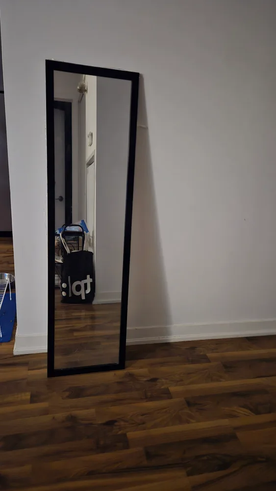 Full Length Black Framed Mirror