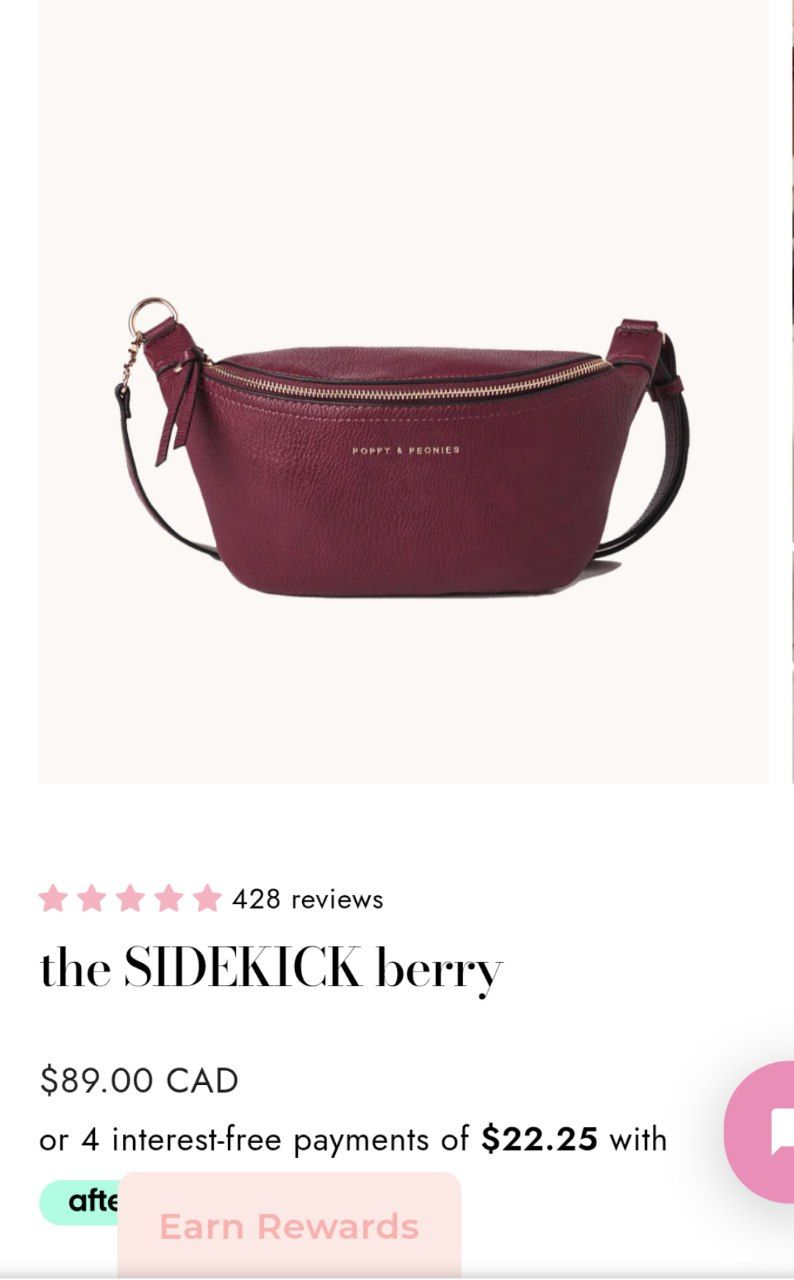 Sidekick Fanny pack by Poppy & Peonies
