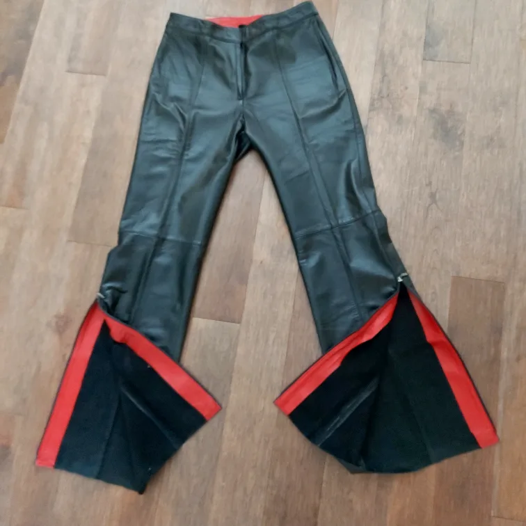 Danier Leather Pants:brand-new (Size 6) image indicator(3)