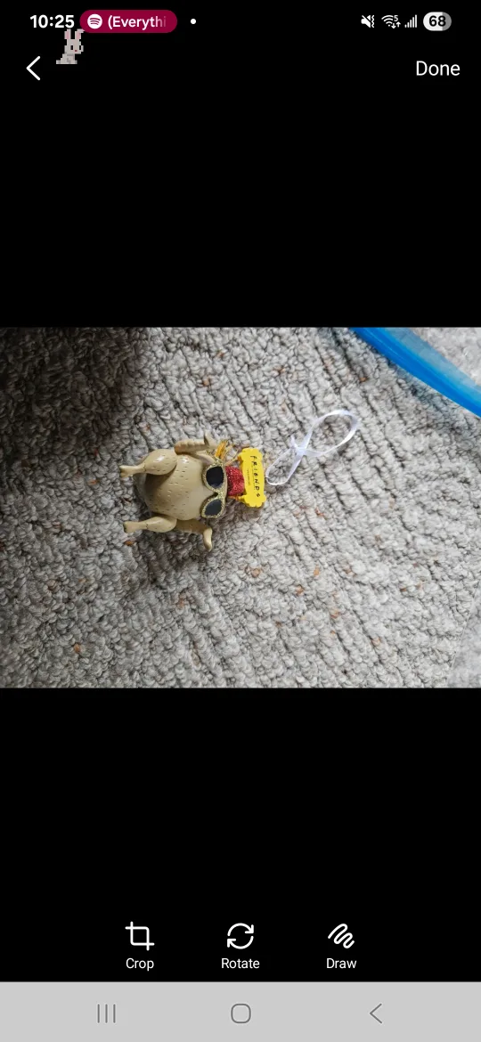 more fun house iteams image indicator(10)