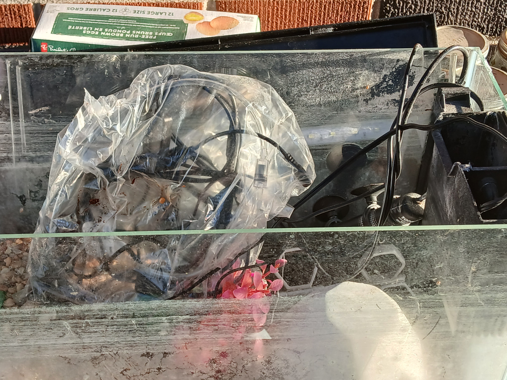 Used Fish Tank - photo 3