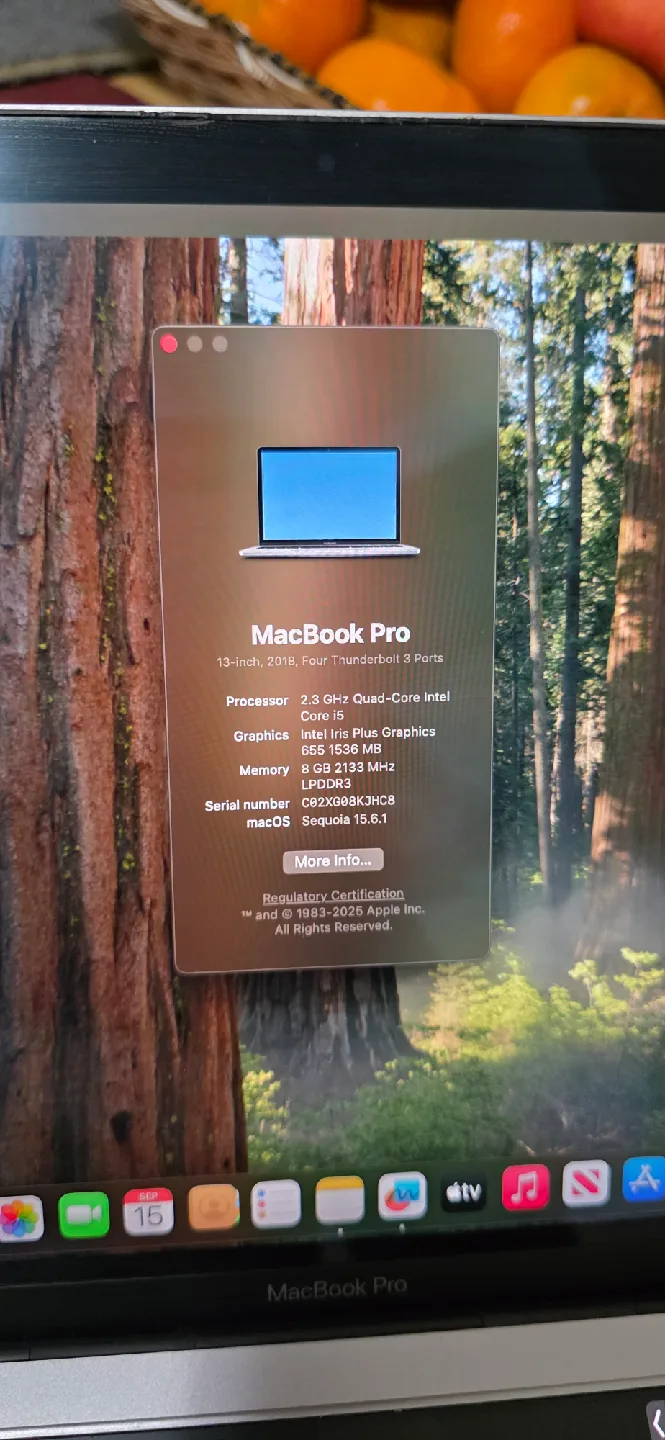 MacBook Pro 13-inch 2018 - Intel Core i5 image indicator(3)