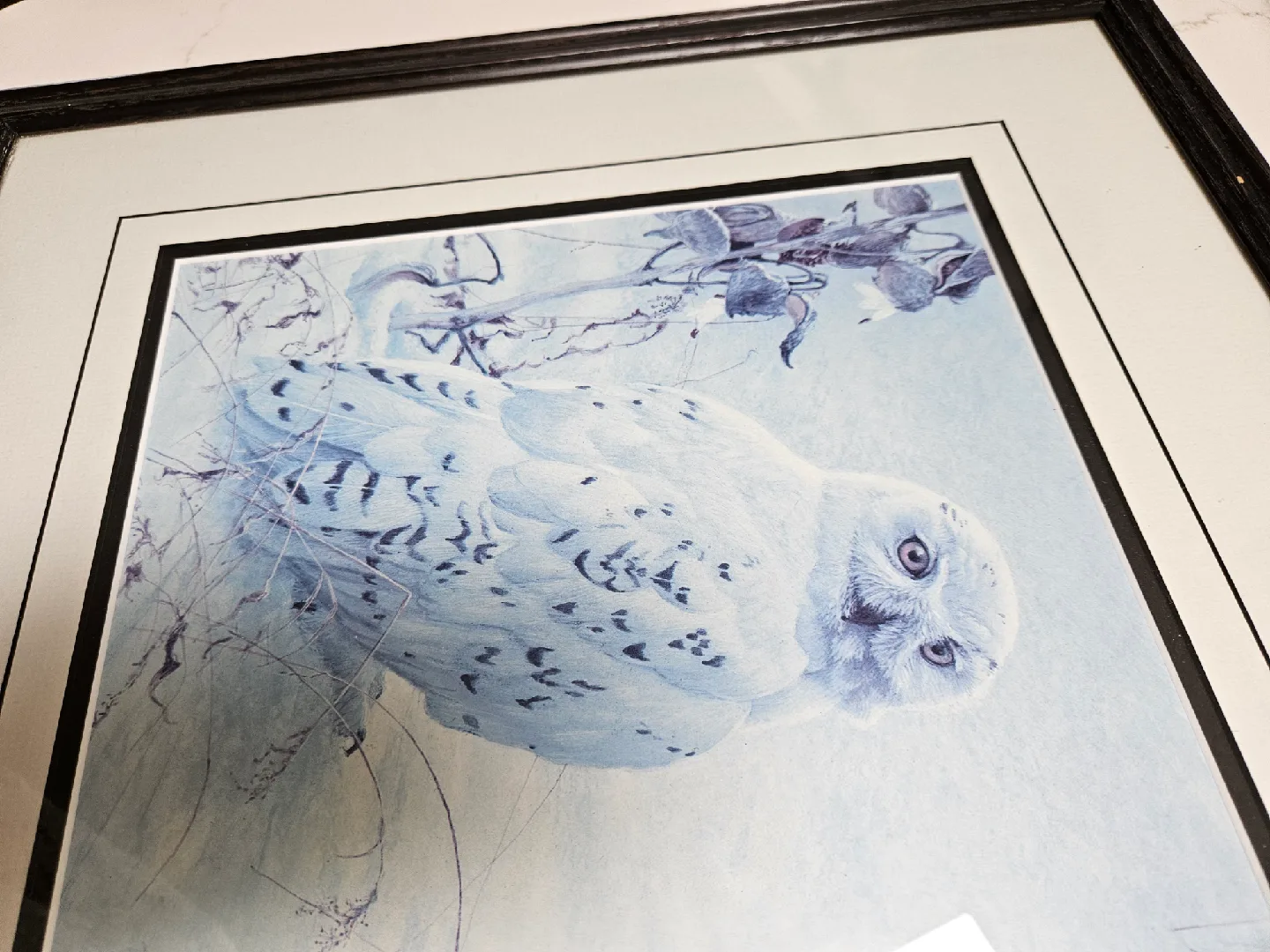 Robert Bateman 'Arctic Majesty' Framed Print thumbnail