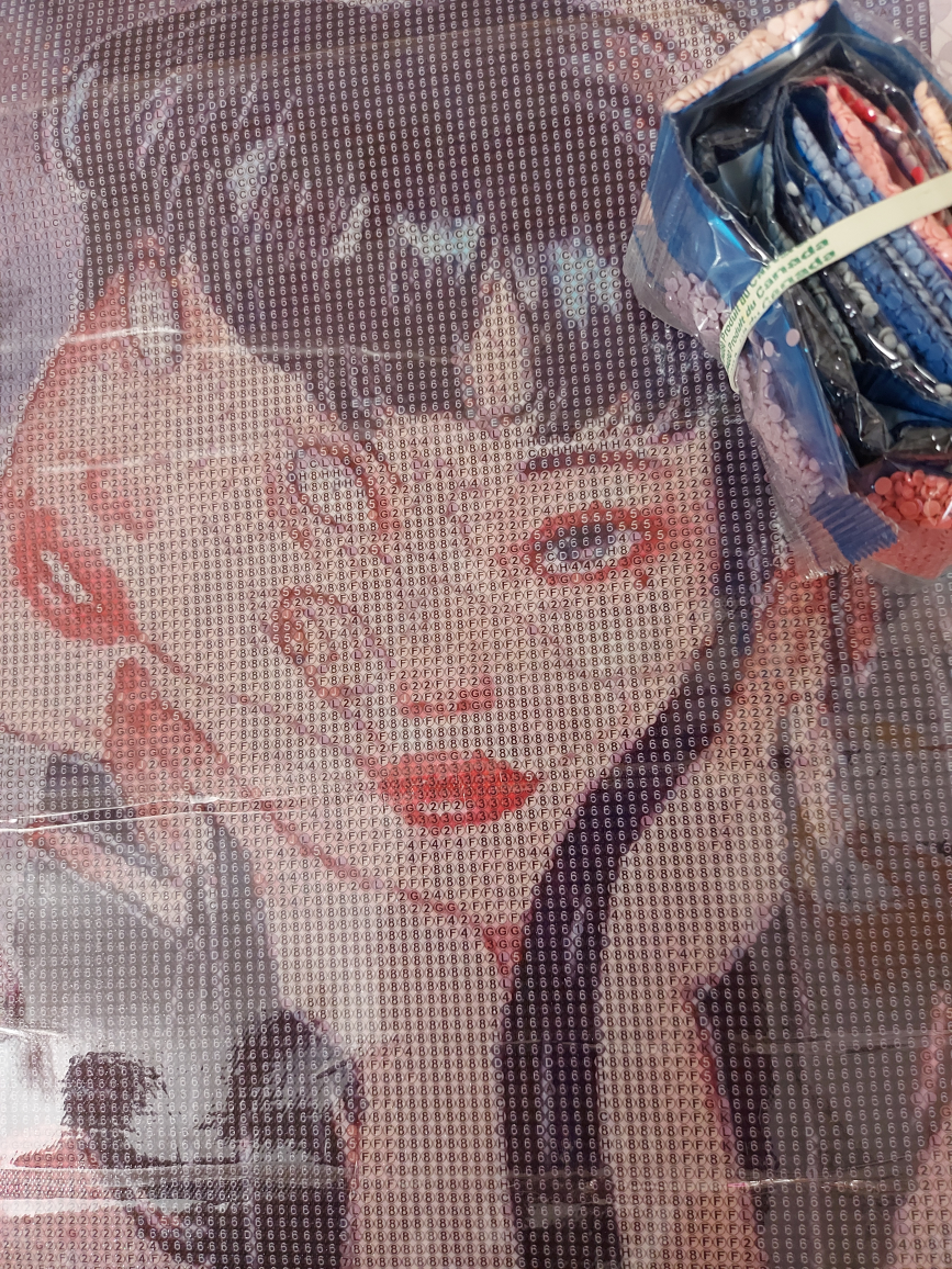 tomie kawakami // junji ito diamond painting