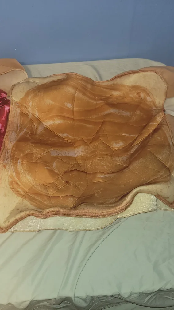 Peanut Butter & Jelly Sandwich Costume Set image indicator(5)