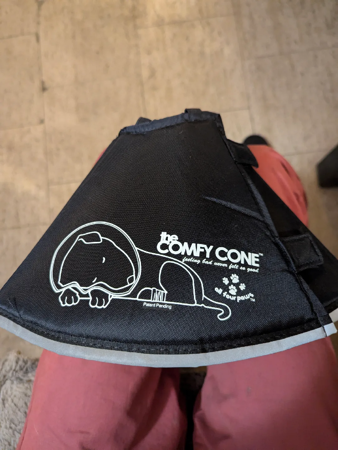 comfy pet cone thumbnail