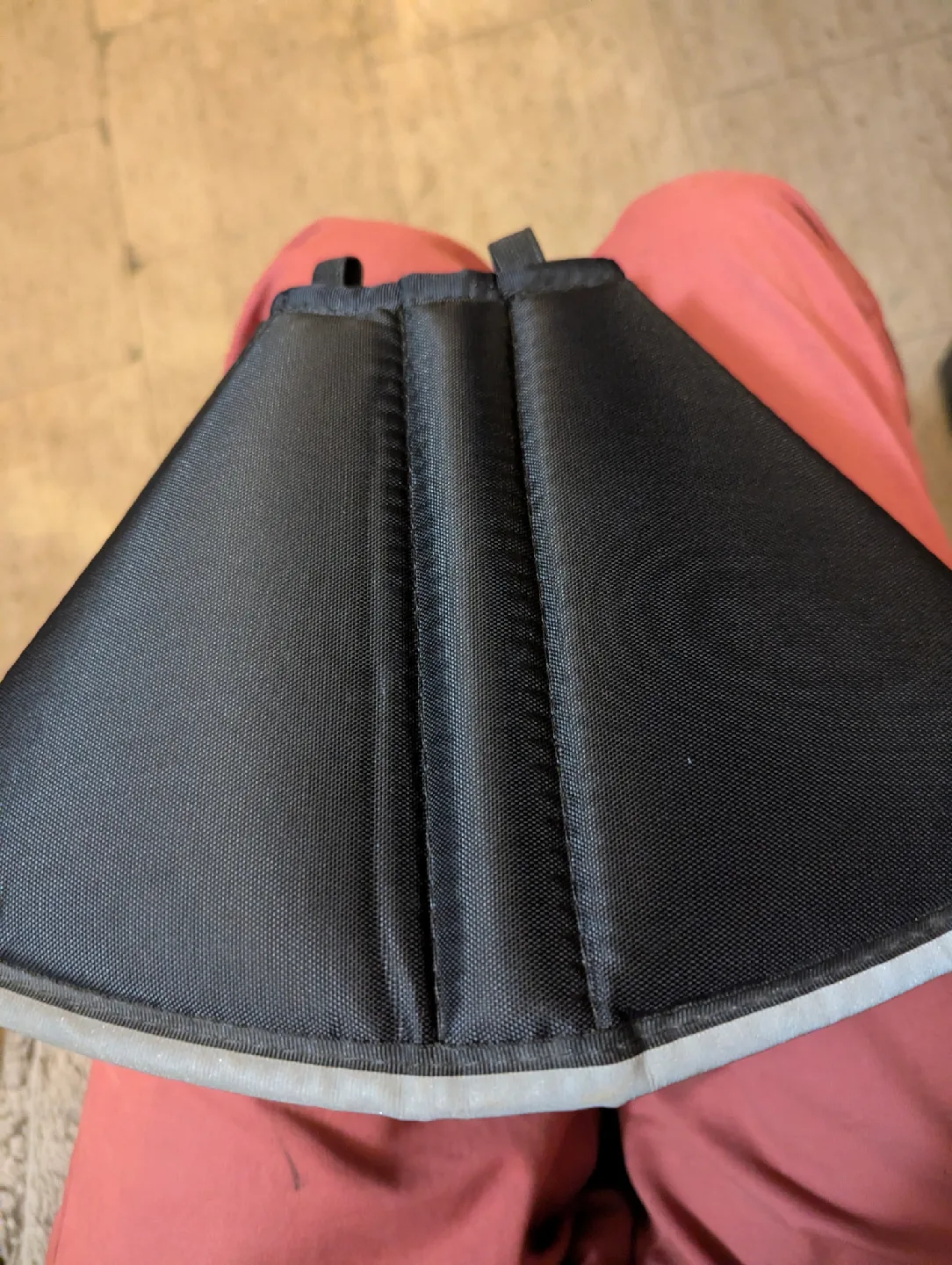 comfy pet cone image indicator(3)