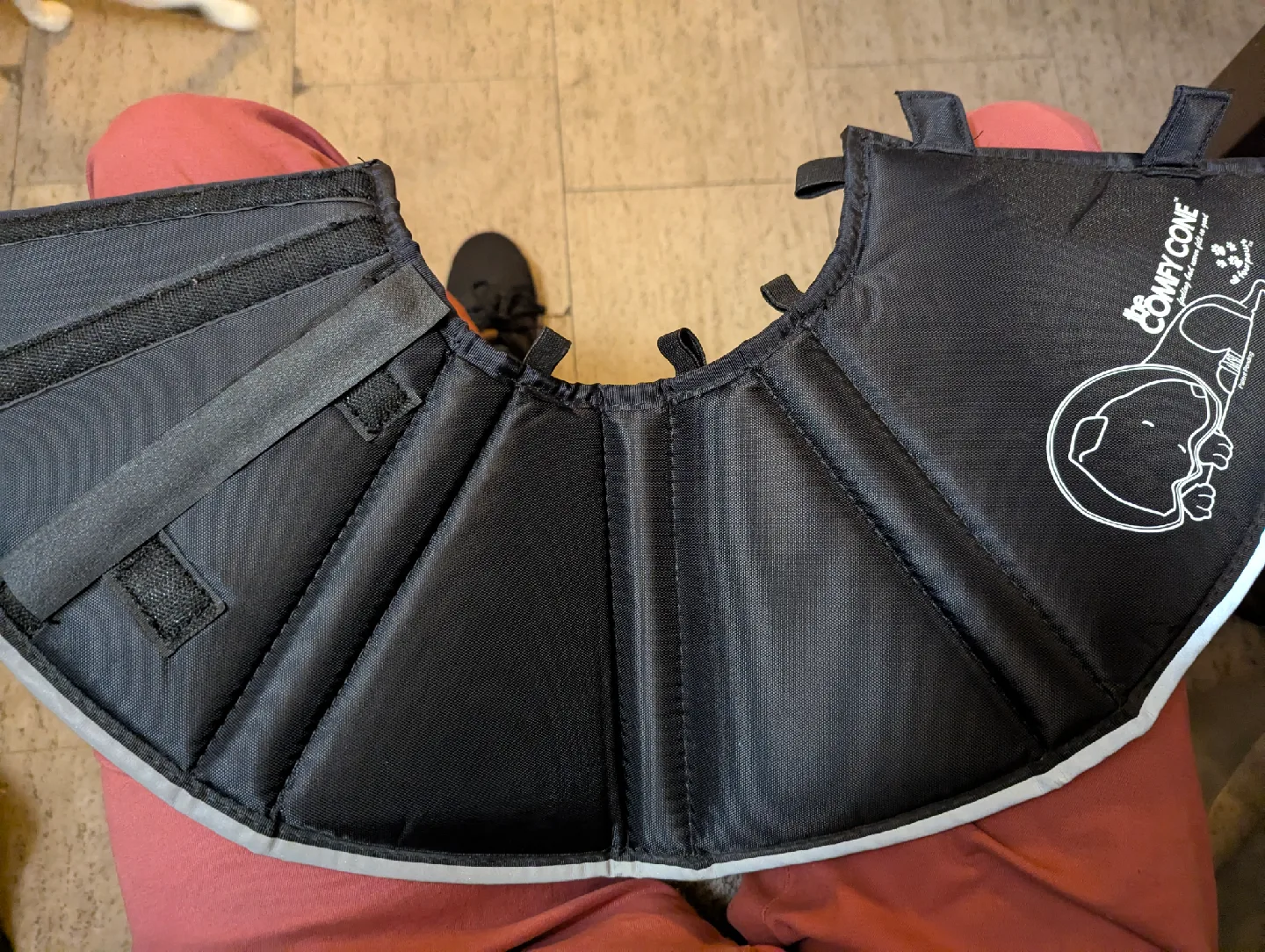 comfy pet cone image indicator(6)