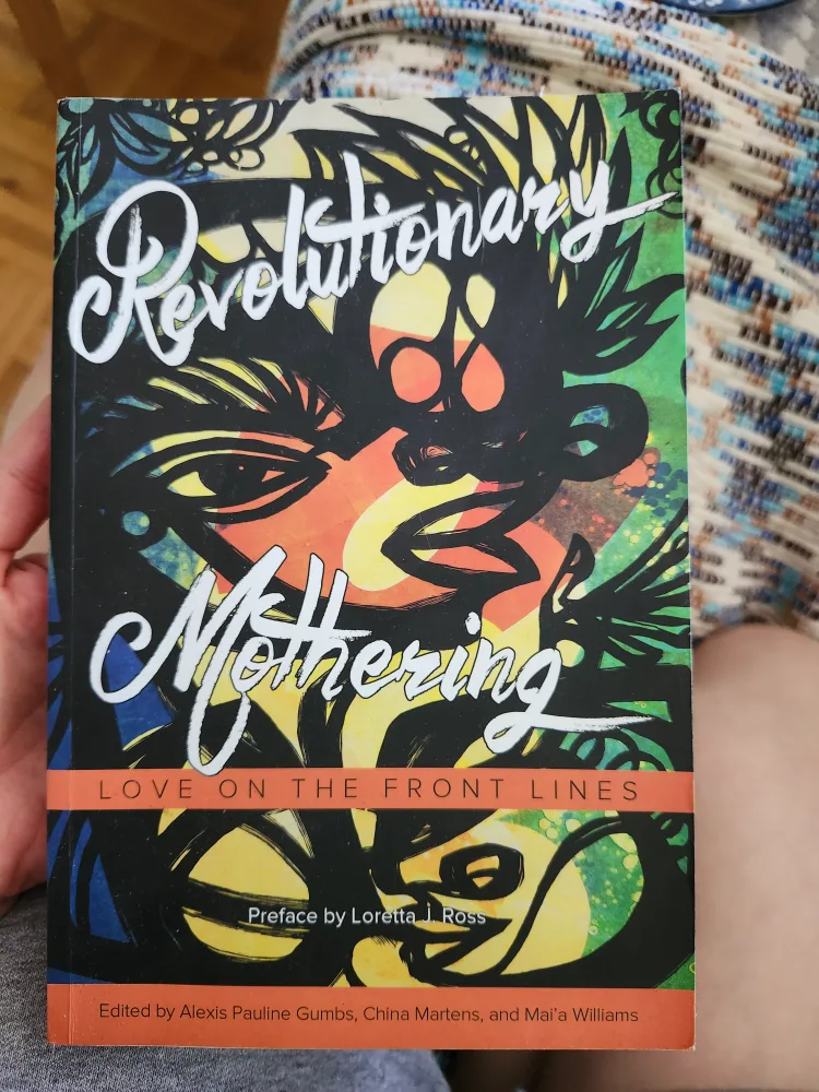 Revolutionary Mothering: Love on the Front Lines thumbnail