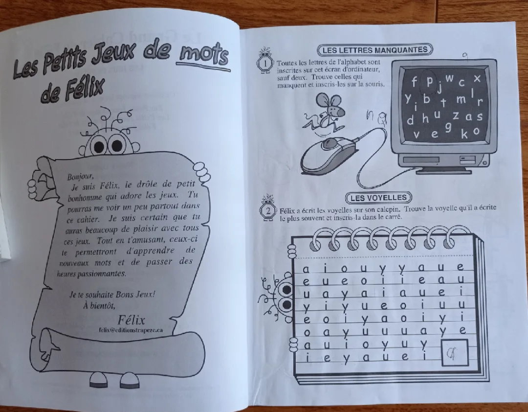 Le Grand Cahier de Félix activity book image indicator(2)