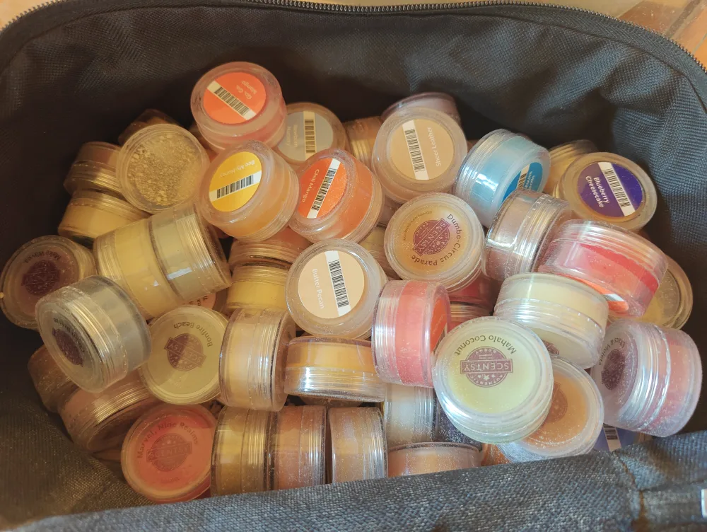 Scentsy Scent Circles & Bag image indicator(3)