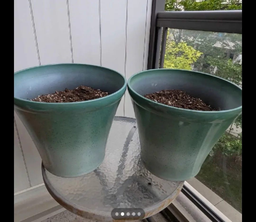 Two Round Planter Pots - 13x15 inches thumbnail