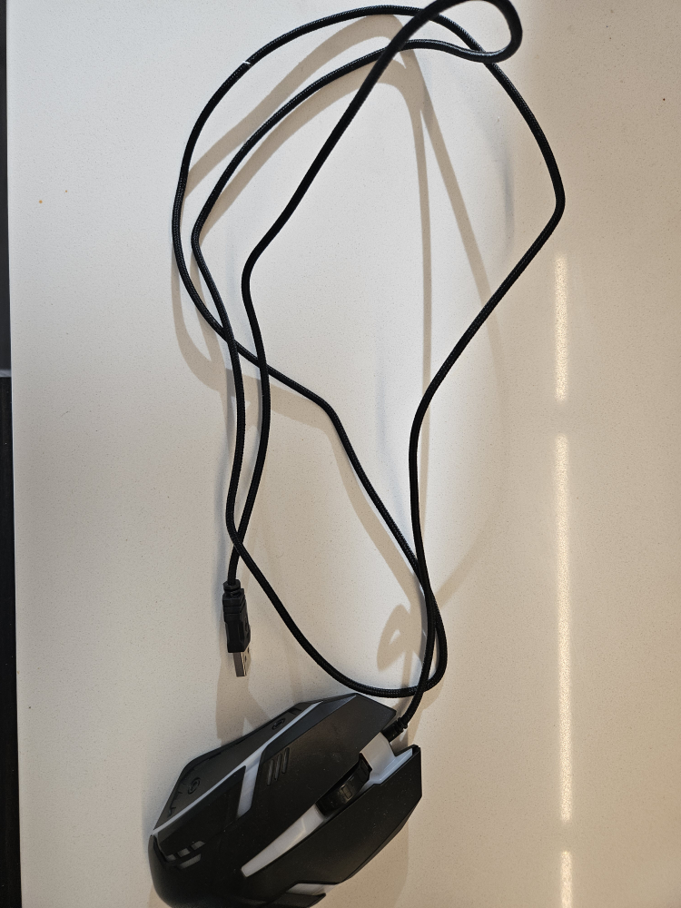 Black Mouse