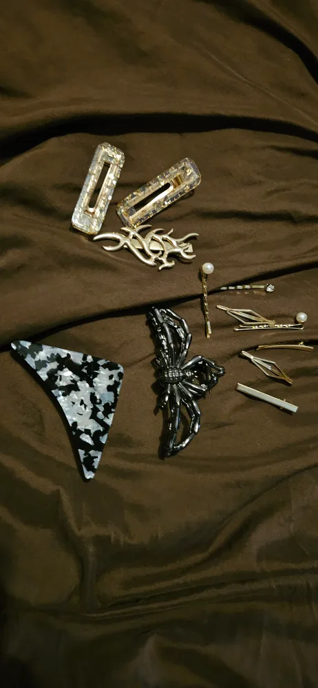 Assorted Hair Clips & Pins image indicator(2)