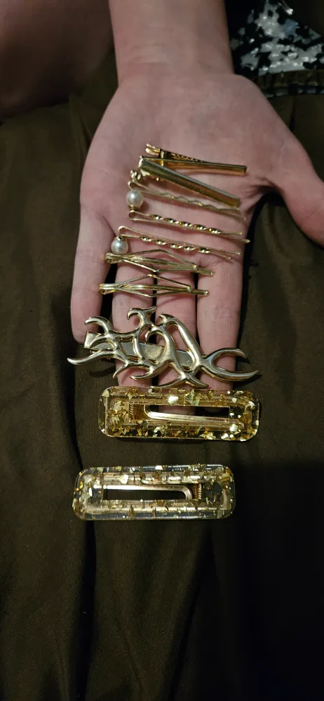 Assorted Hair Clips & Pins image indicator(3)