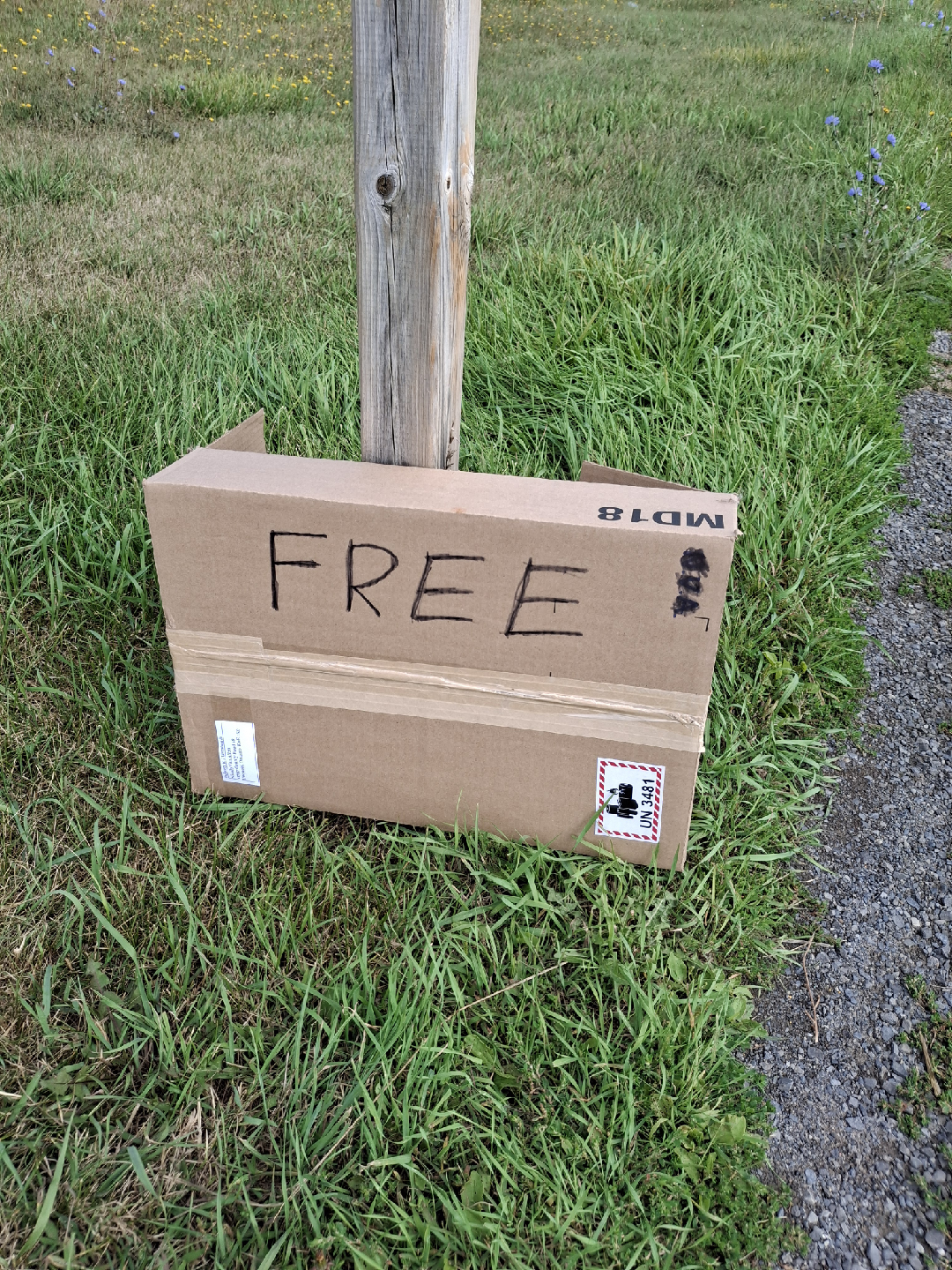 FREE AND NOT DUNDELA