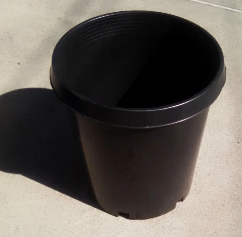 Large Black Plastic Nursery Pot thumbnail
