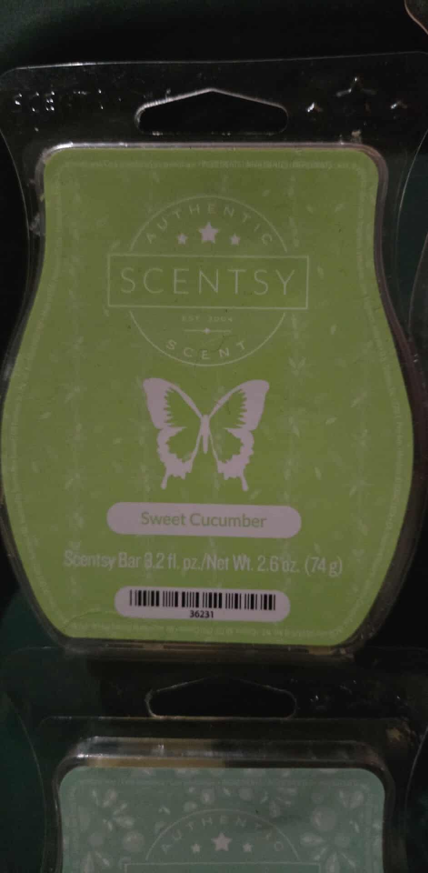 Scentsy Wax Melts Bundle - photo 2