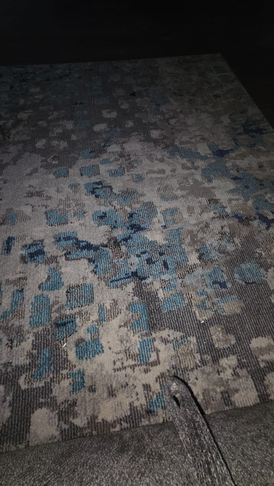 Area Rug - Blue, Grey, and Beige very nice! - photo 2