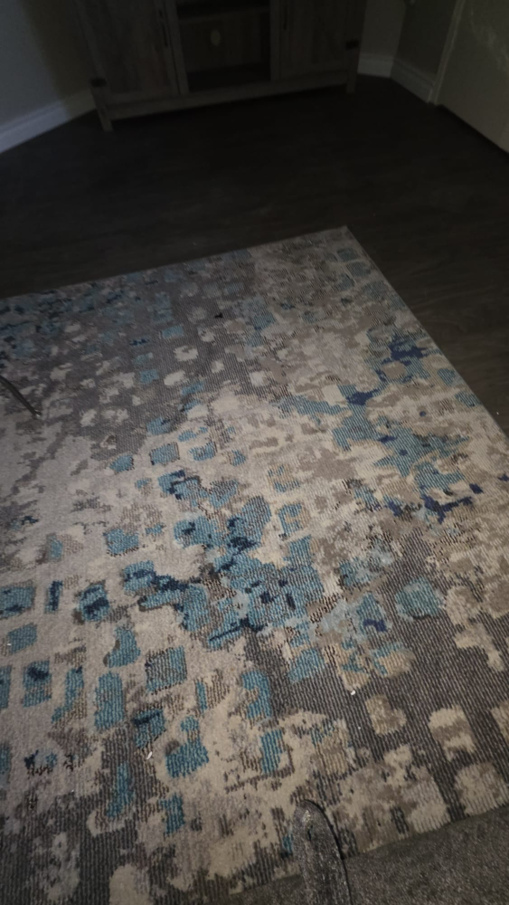 Area Rug - Blue, Grey, and Beige very nice! - photo 3